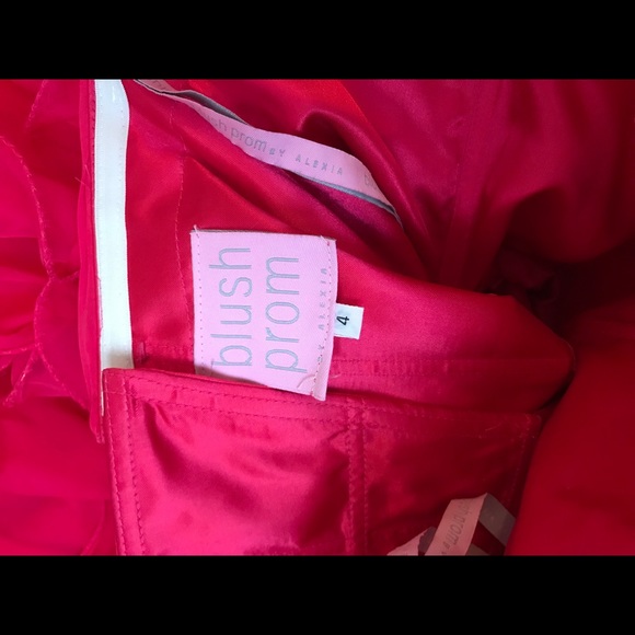 Blush homecoming dress - Picture 4 of 5